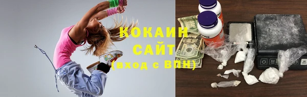 гидра Новодвинск
