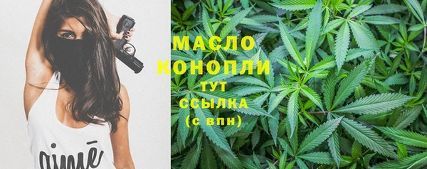 гидра Новодвинск