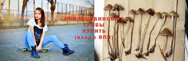 соль ск Абдулино
